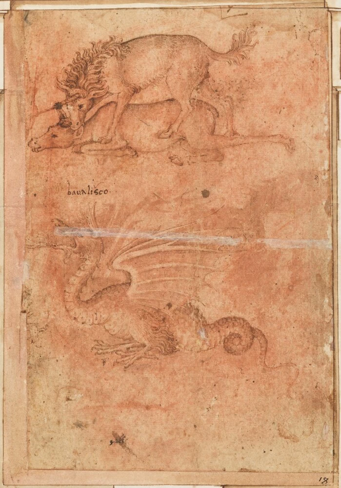 Studio di animalle e figura